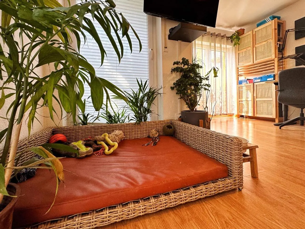 Holidayhome Apartments I Petfriendly Spaceous Apartment In Friedrichshain Berlin